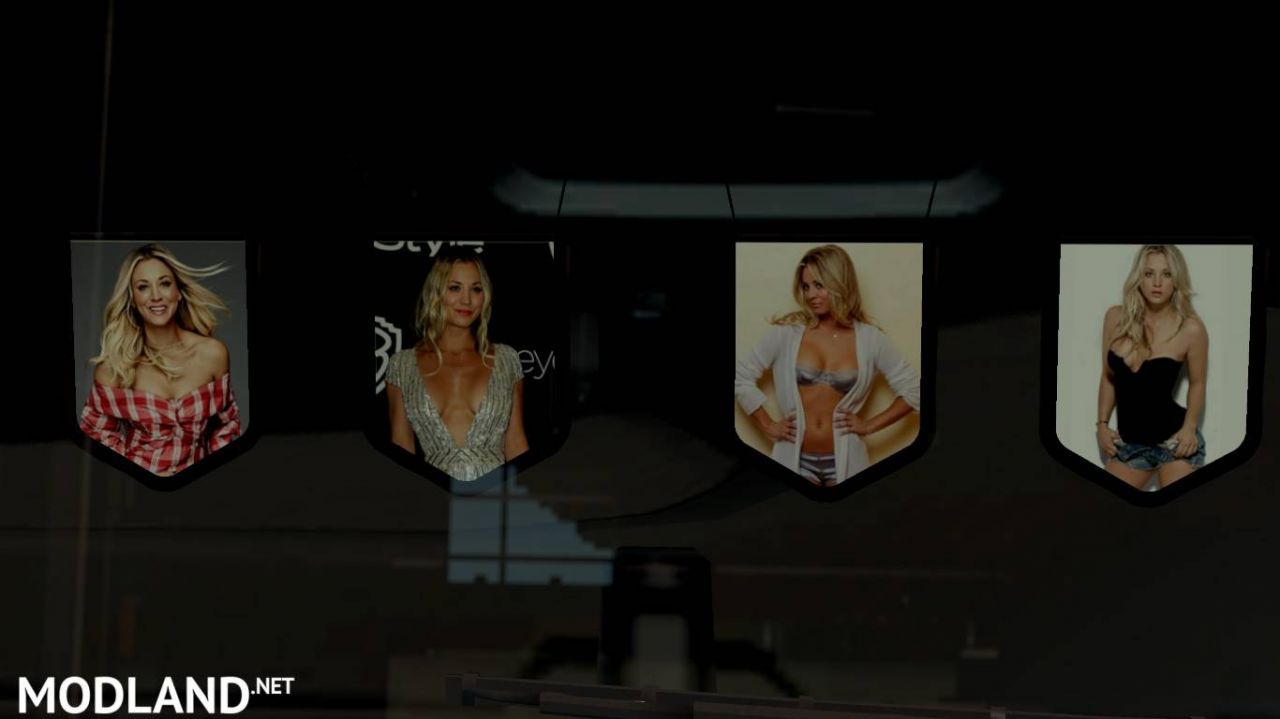 Kaley Cuoco Pennants Pack