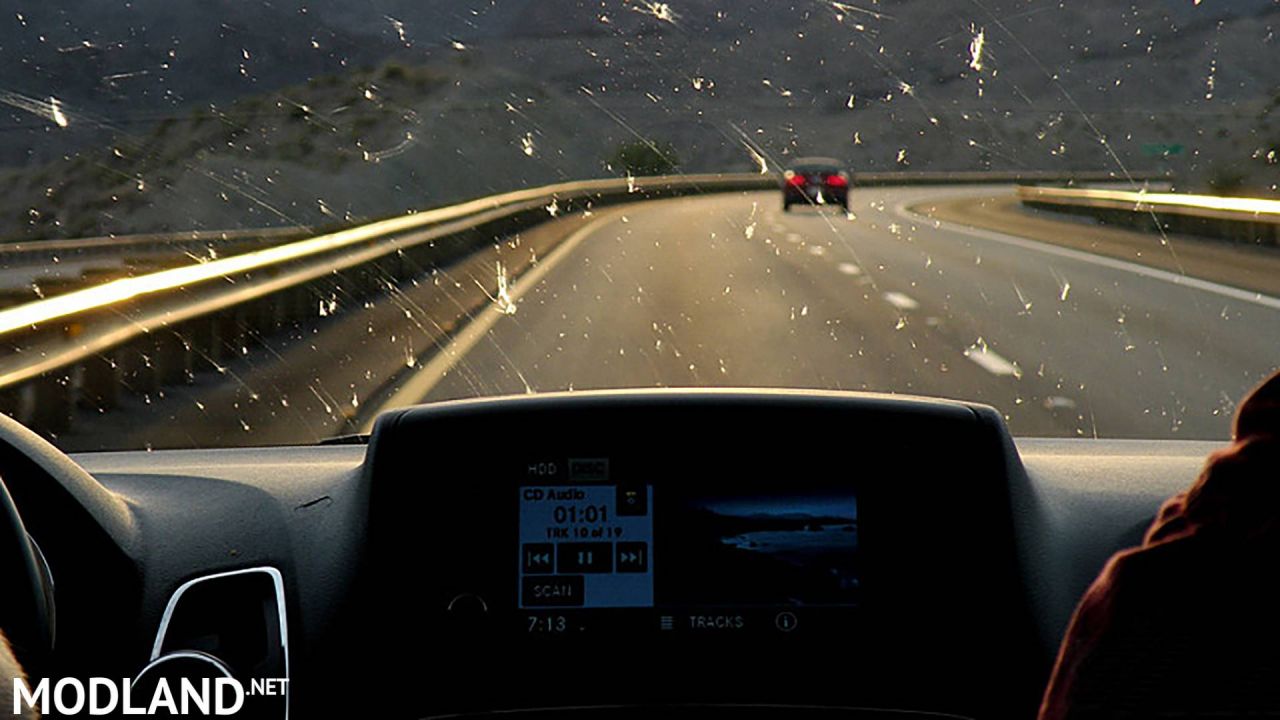 INSECTS ON WINDSHIELD