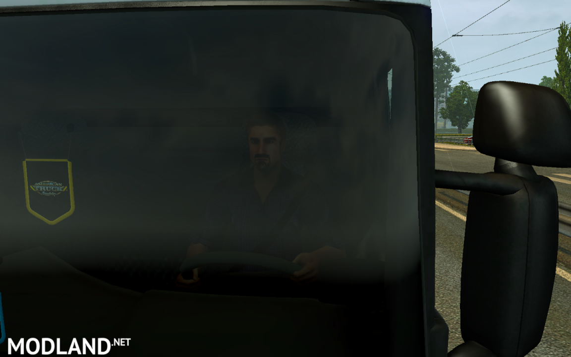 beard for driver