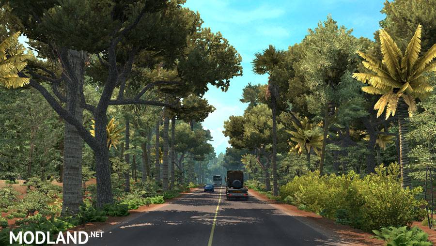 Tropical Environment