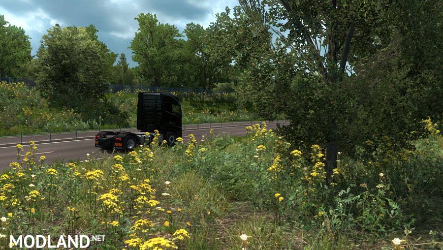 New Summer Graphics/Weather