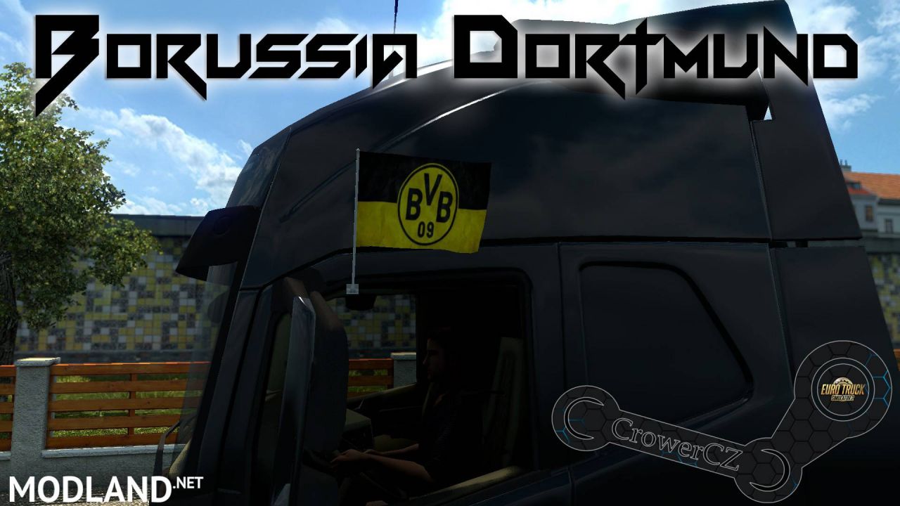 Borussia Dortmund Flags