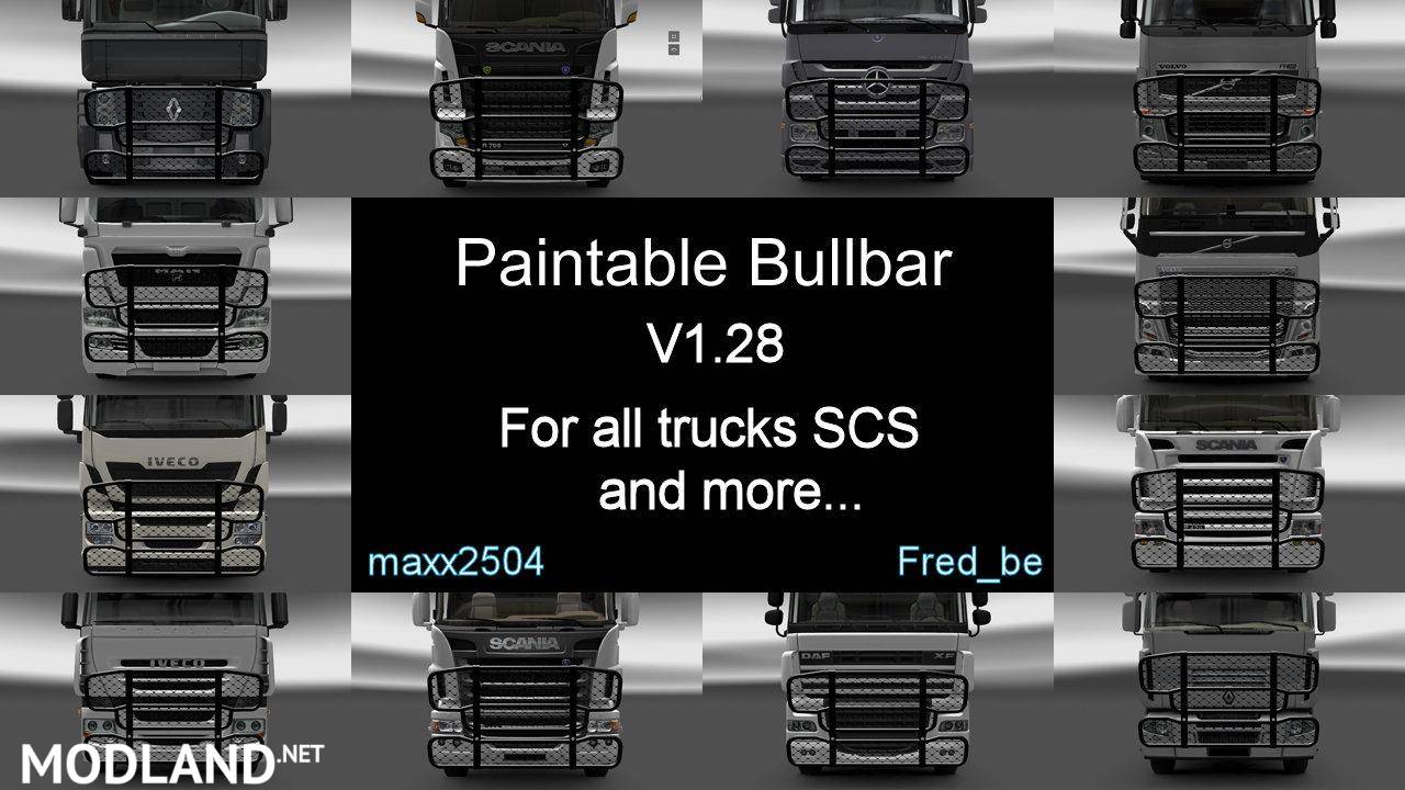 Paintable Bullbar