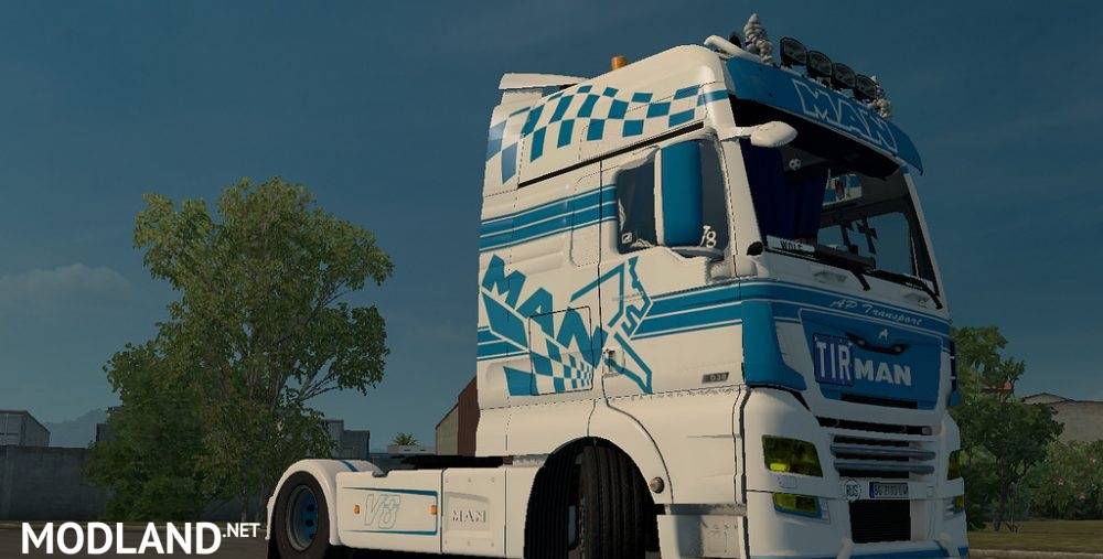 AP Transport MAN E6 Skin