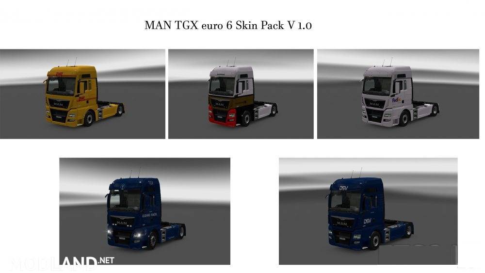 MAN TGX Euro 6 Truck Skin Pack