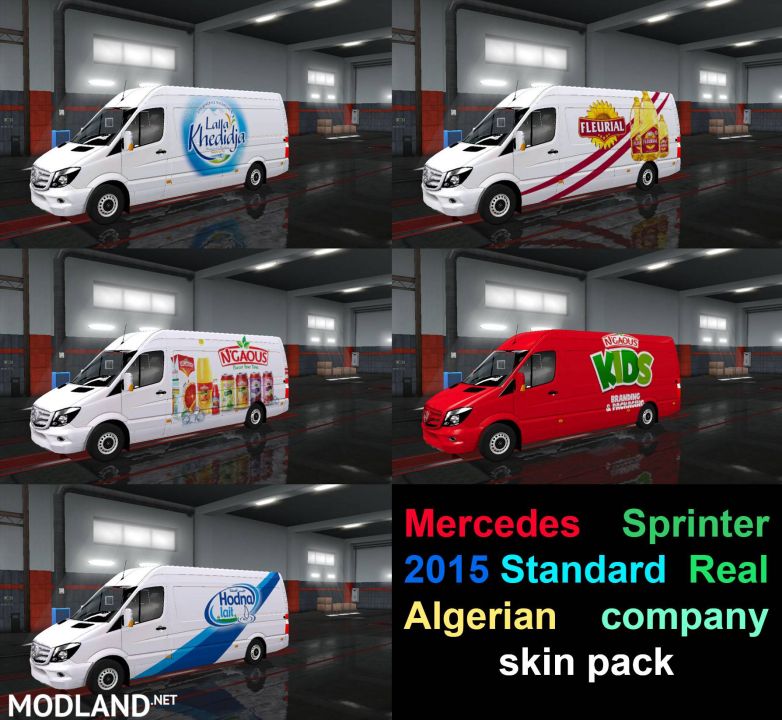Mercedes Sprinter 2015 Standard  Real Algerian company skin pack