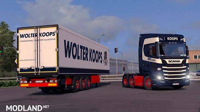 Wolter Koops Skin