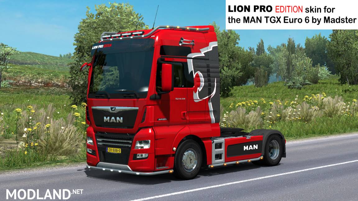 MAN Lion Pro edition skin for Madster MAN