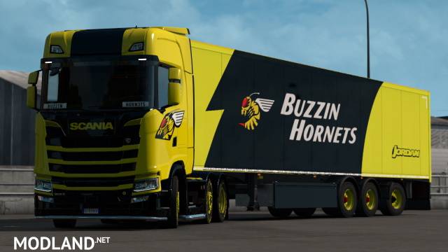 Scania S "Buzzin Hornet" combo skin