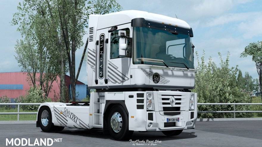 Skin for Renault MAGNUM