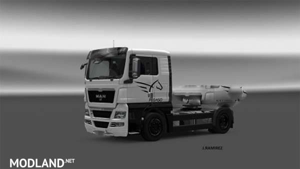 MAN TGX Skin Pegaso