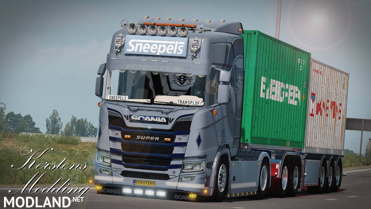 Scania R650 Sneepels transport skin - ETS 2