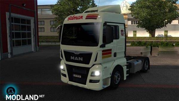 Selman Transporten MAN TGX Euro 6 skin