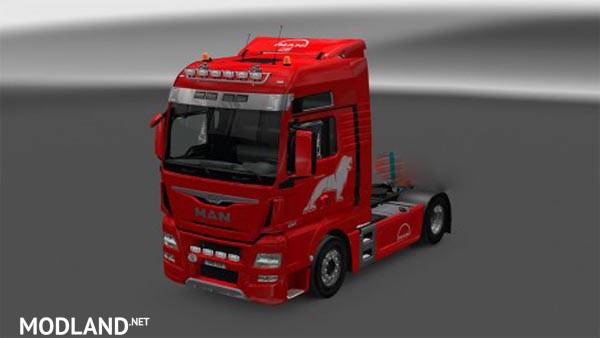 Skin for MAN TGX Euro 6 XXL