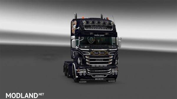 Trans Europe Logistics skin