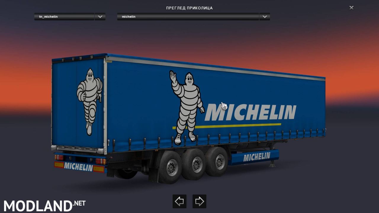 Michelin Skin