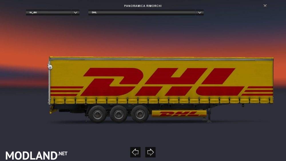 Skin DHL Corrier Express