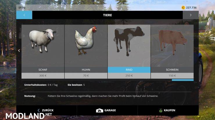 Placeable Pigs and Cattle