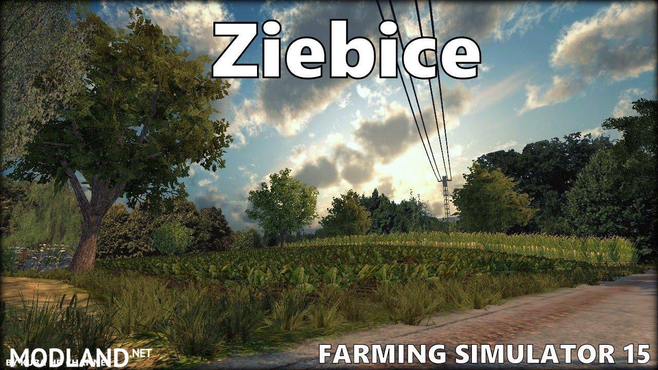 Ziebice Map