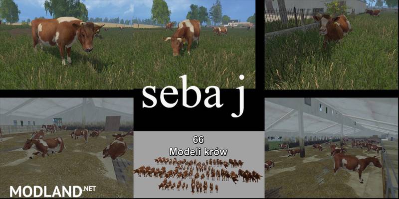 MODELS COWS