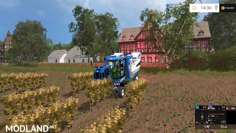 Weinreben Pack