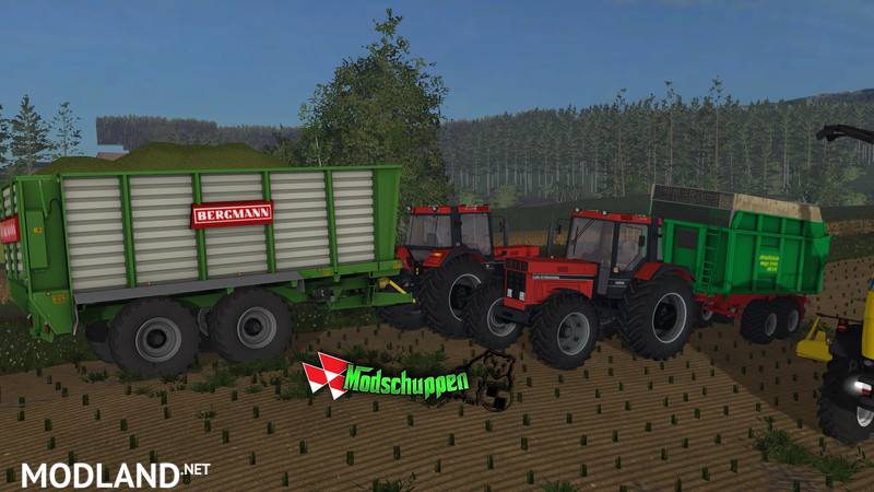 Bergmann HTW 35
