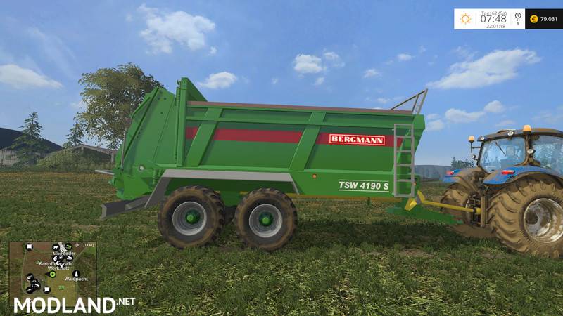 Bergmann TSW 4190 S
