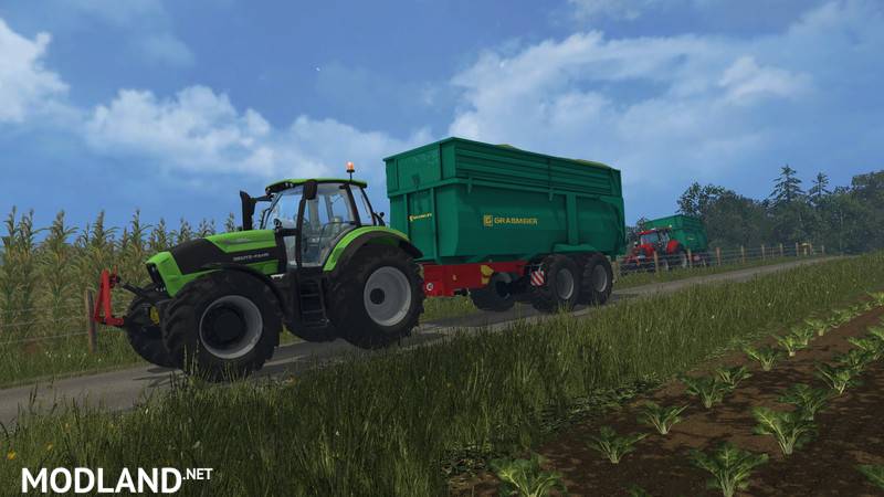 Grave Meier dumpers