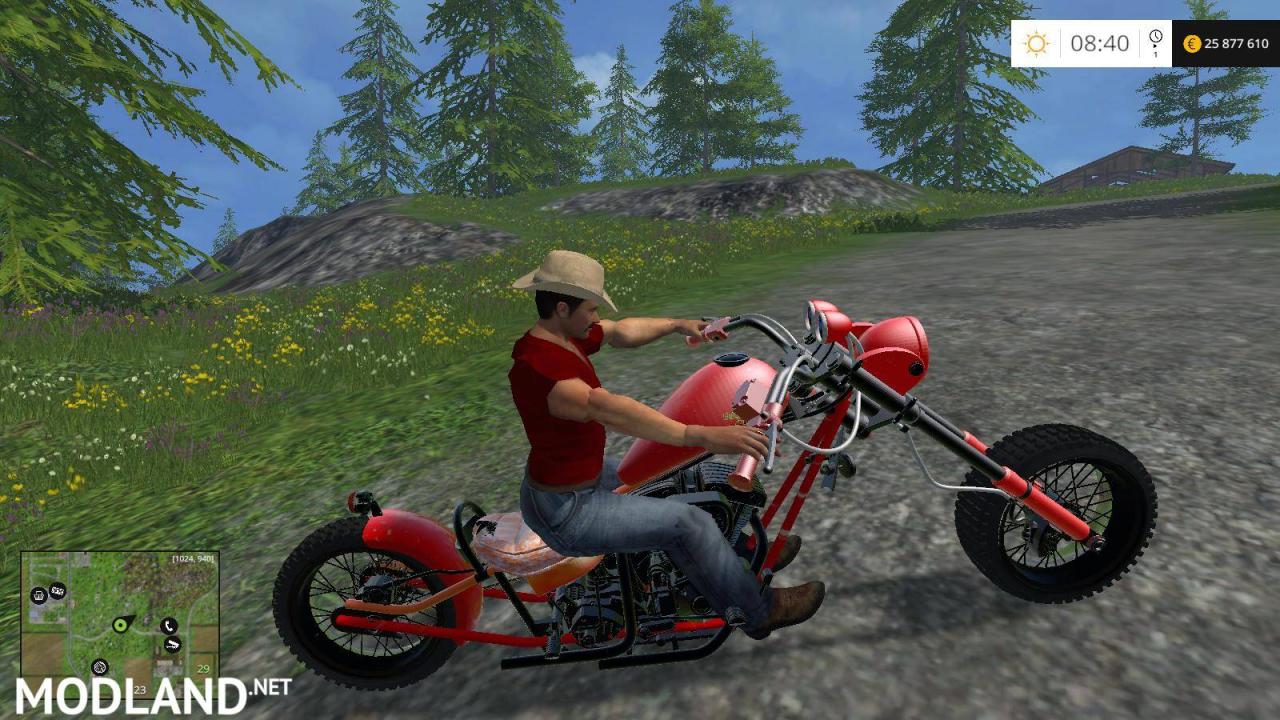 Harley Superpat Beta