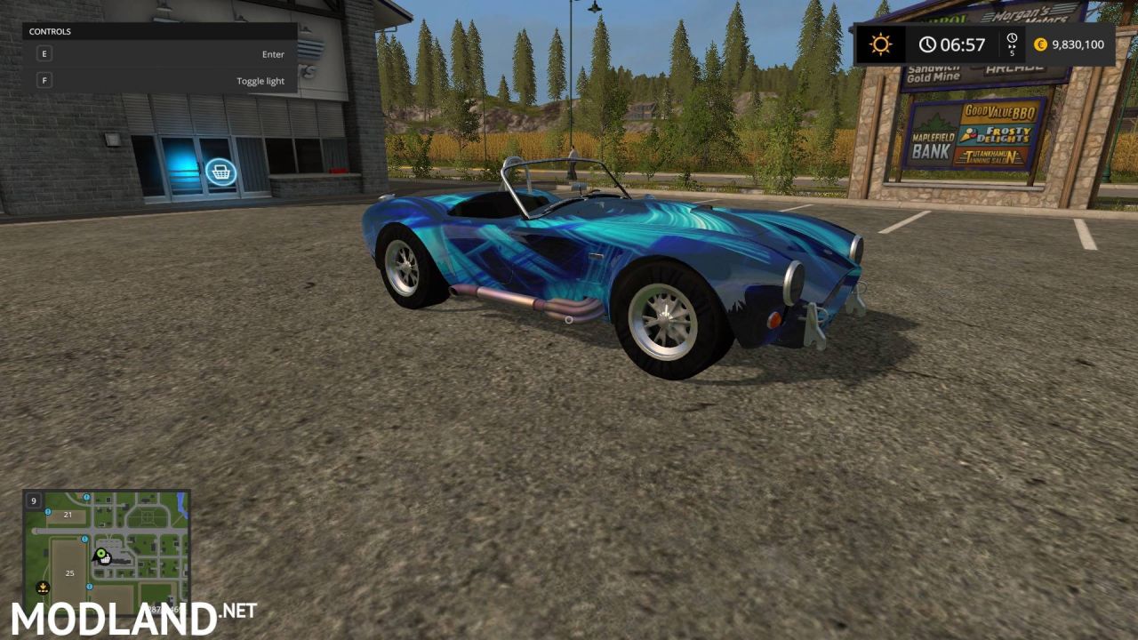 Shelby Cobra SeaSkin