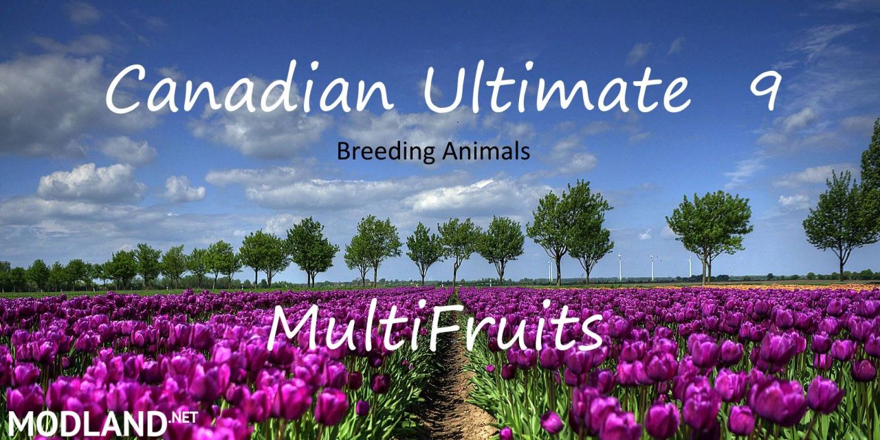 Canadian Ultimate 9.1