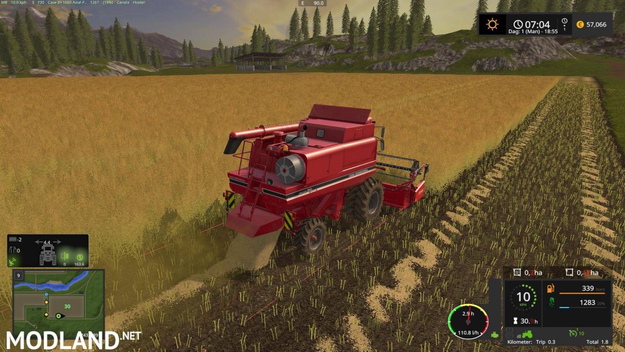 Canola Straw