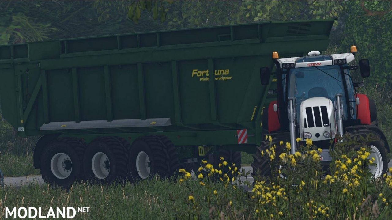 FORTUNA FTM 300 / 8.0