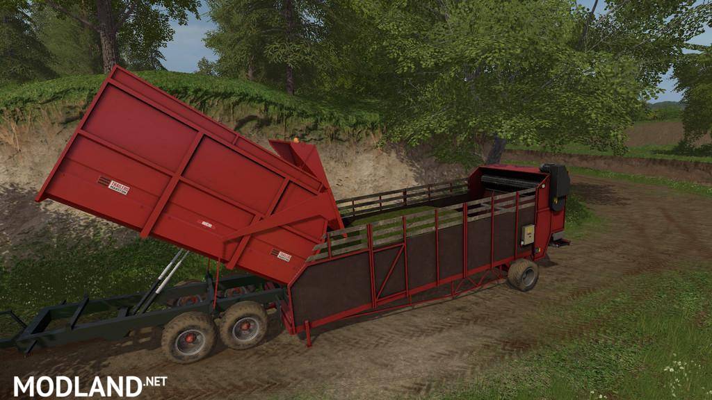 Lizard FDT 8m