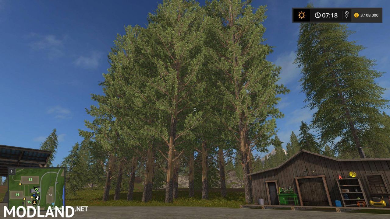 More trees in town