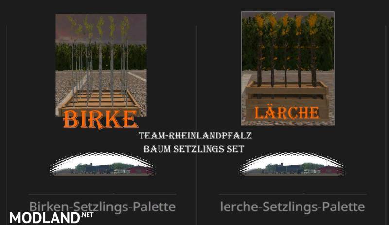 Pallet Setzlnge