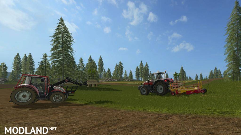 Plantable Spruce Trees