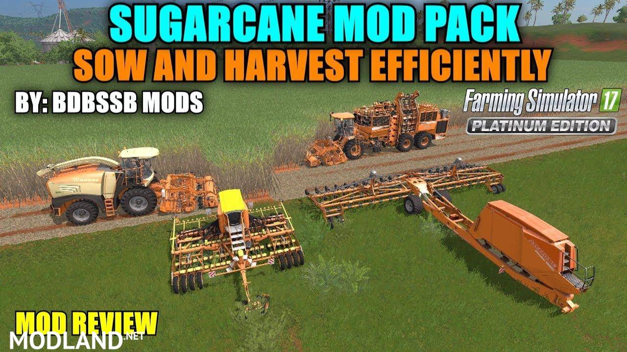 Sugar Cane Pack