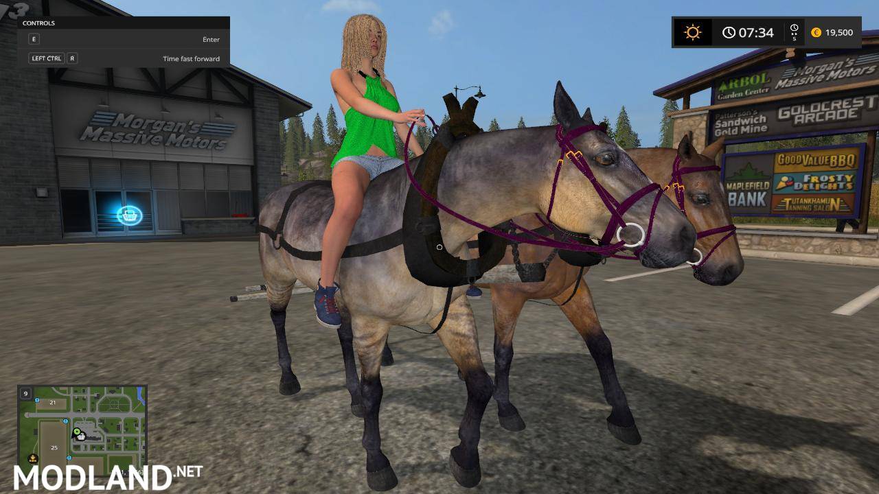FS17 Horse - FS 17