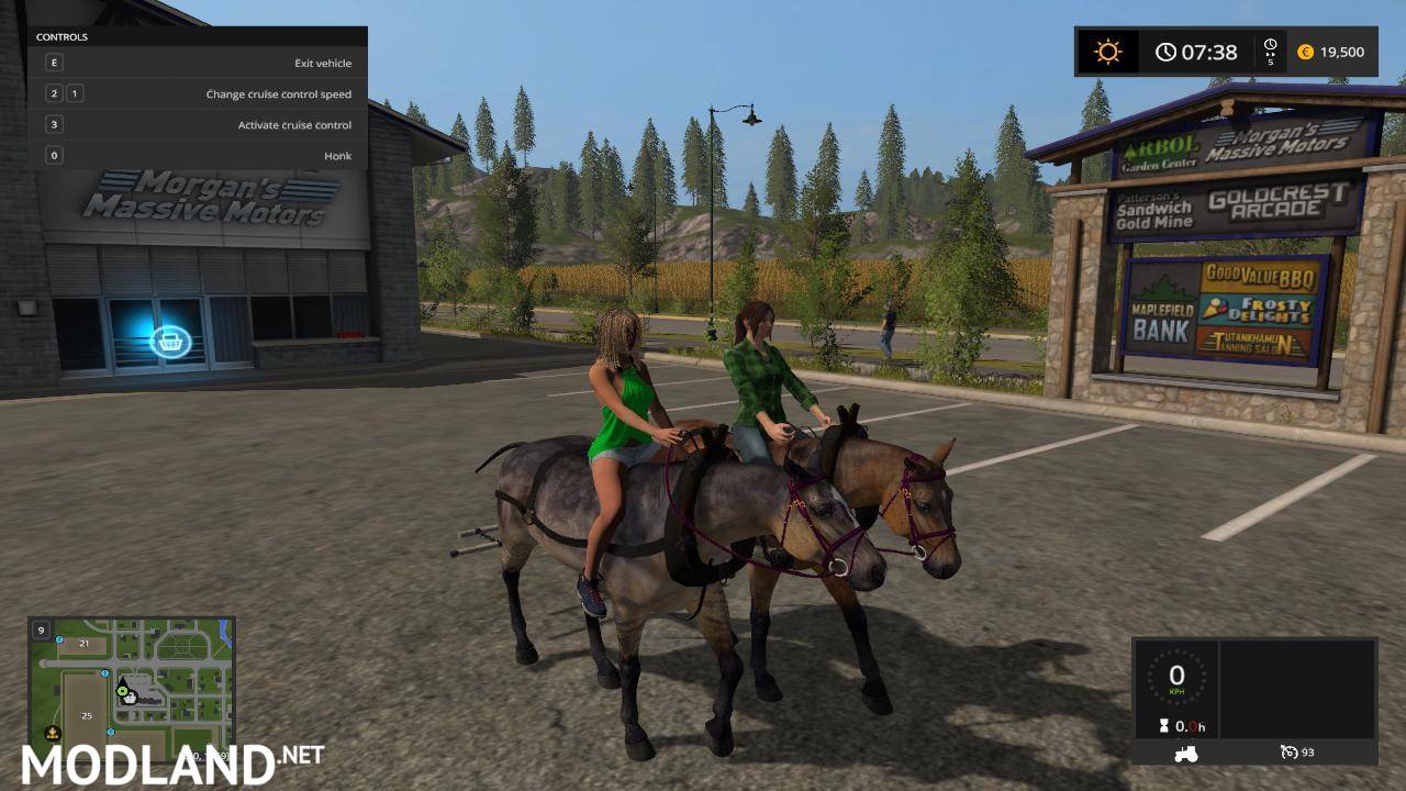 FS17 Horse - FS 17
