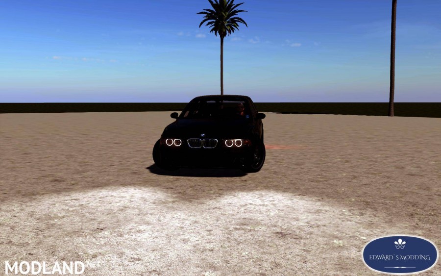 BMW 530i FS19