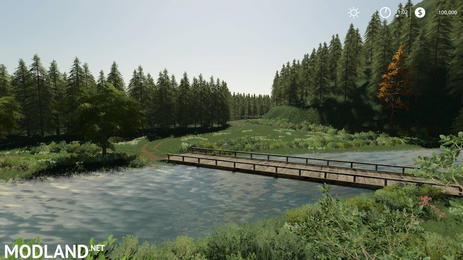 The Wild - FS 19