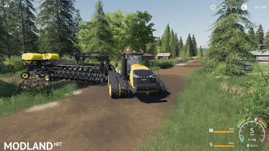 FS 19 Fenton Forest by Stevie