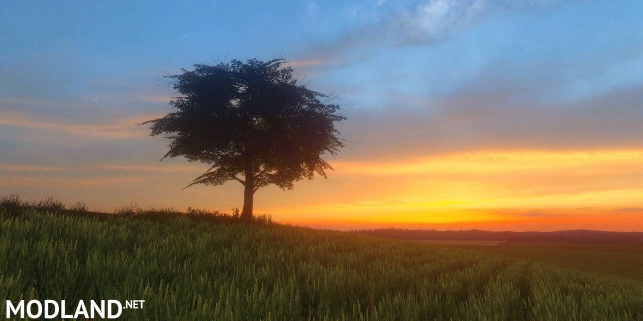 Lone Oak 19