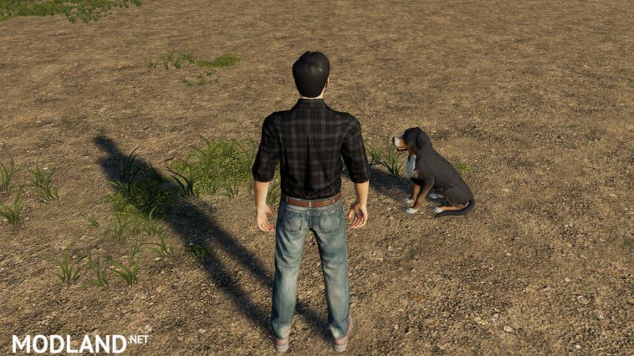 3rd Person