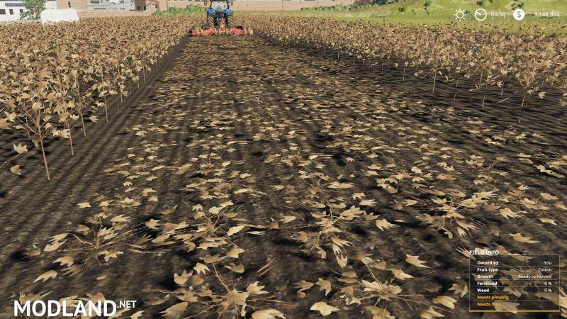 Mowable Cotton Stalks