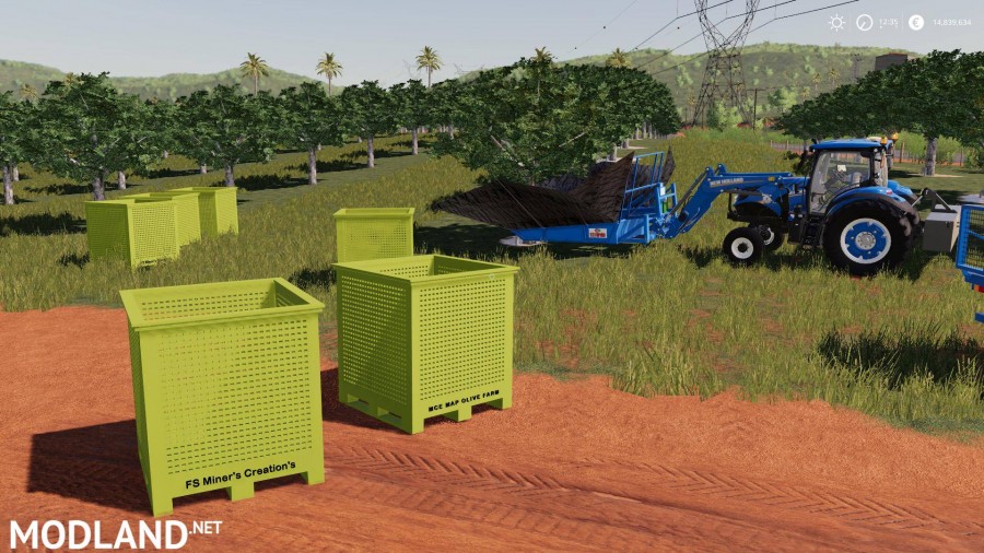Pallet Box For Olives