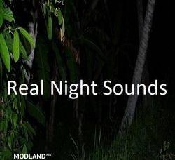 Real Night Sounds