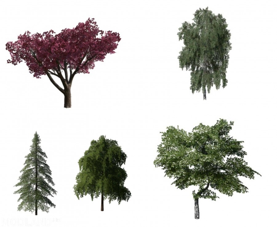 More Trees