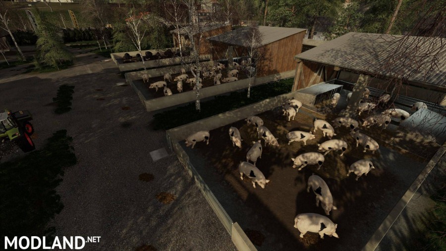 Outdoor Piglet Husbandry